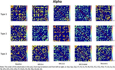 Focusing Attention on Muscle Exertion Increases EEG Coherence in an Endurance Cycling Task